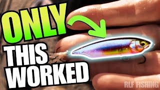 Download Lagu This Tiny Bait Caught a TON of Bass (Megabass Karashi Fall Pattern) MP3