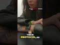 Bizarre DWI Stop Rules & Immediate Arrest Fallout