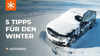 Wechseln von Dämpfer Skoda Octavia 1z3 1.9 TDI - Tipps Austauschen