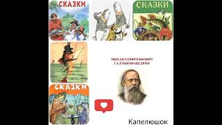 Здравомысленный заяц. Салтыков-Щедрин   #салтыковщедрин #литература #повесть