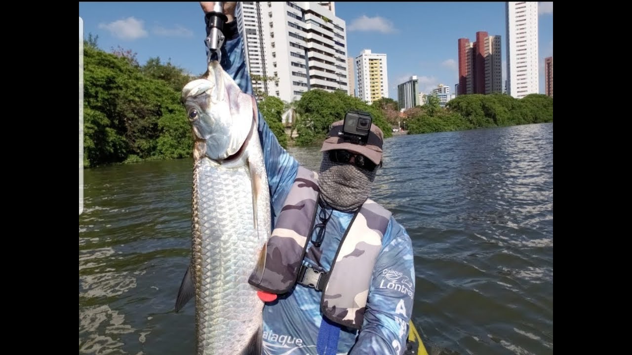 Fisgando um Super Tarpon em Recife