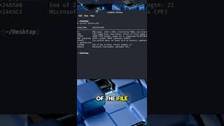How to check if an image contains malware