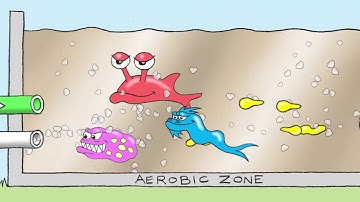 Secondary treatment of sewage