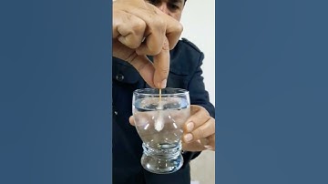 Gases solubility #shorts #youtubeshorts #ytshorts #science #scienceexperiment