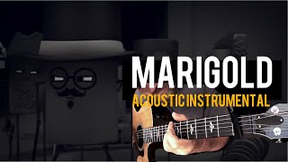 Periphery - Marigold (Acoustic Instrumental)