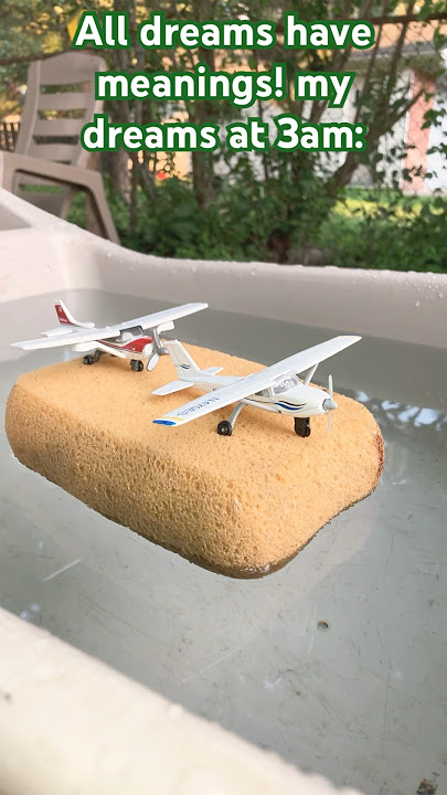 My dreams at 3am #funny #memes #airplane #aviation #avgeek #plane #cessna #cute #dream #sponge