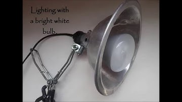 How To Digitize 35mm Slides At Home