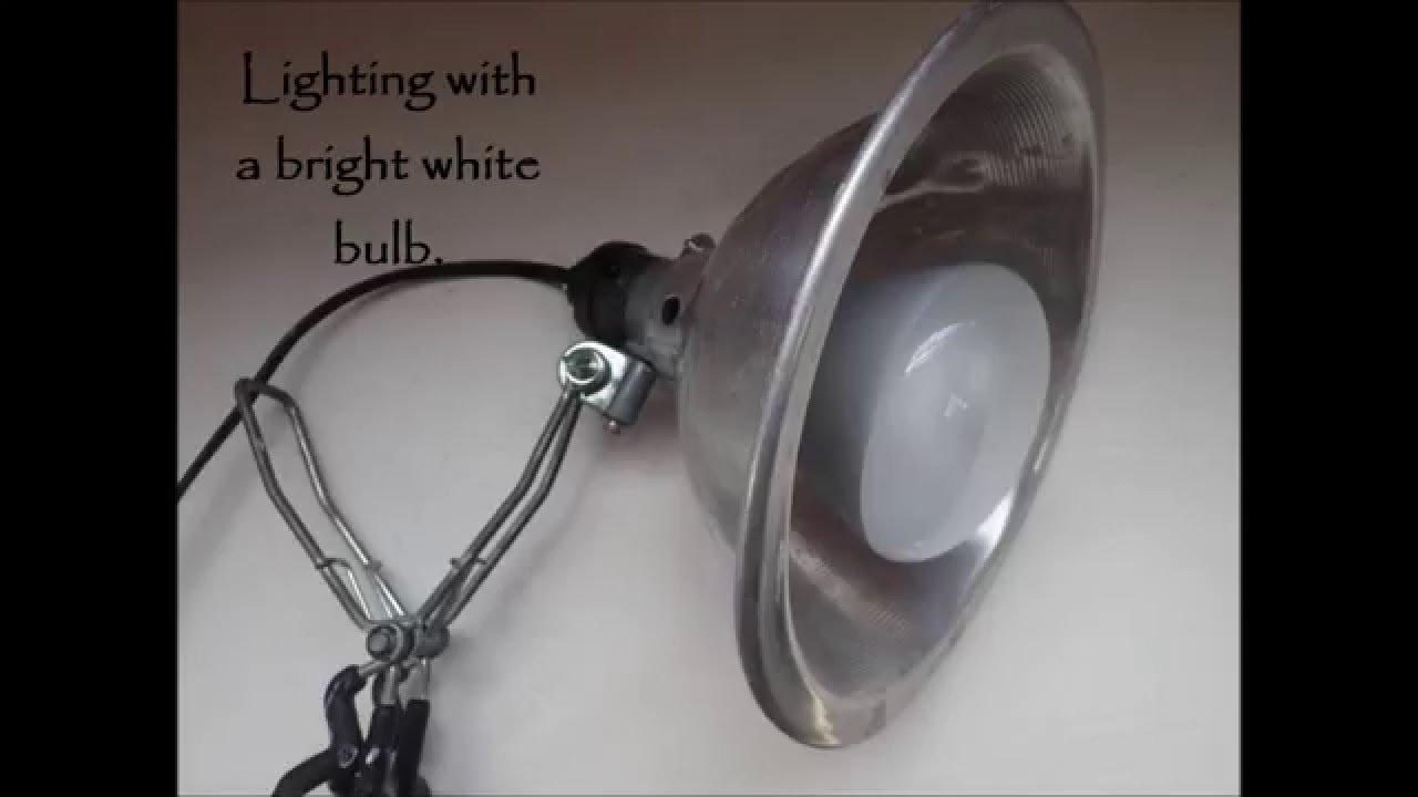 How To Digitize 35mm Slides At Home YouTube