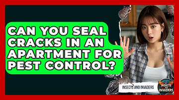 Can You Seal Cracks In An Apartment For Pest Control? - Insects and Invaders