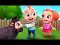 Animal Kindness Song | Baa Baa Black Sheep for Children | Nursery Rhymes | Rosoo - Kids Cartoon
