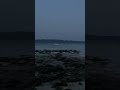 Night mode on 🌊 Hit Like ❤️, Comment 💬 &amp; Subscribe 🔔 for more such amazing content ✨#dailyvlog