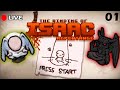 The Binding Of Isaac: Repentance | First Runs | Unlocking Stuff | [NO BACKSEATING]