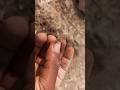 finding natural with qutraz crystal gemstone diamond mining at the mountains#gemstones#mining#shorts
