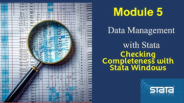 Using #Stata windows to check for completeness