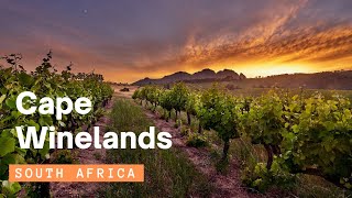 Cape Winelands - South Africa | Stellenbosch Franschhoek [4k]