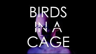 Birds In A Cage | Rita Michelle (Official Music Video)