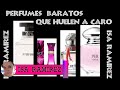 Perfumes Baratos que Huelen a Caro ♦ perfumes que compré muy baratos - ISA RAMIREZ - SUB