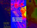 DSI Prophet 12, mod filter, decay, decimation with Flanagan the Sheep #synth #livejam #prophet12
