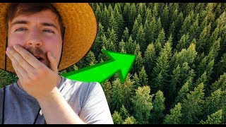 Mr Beasts plants 20'000'000 TREES