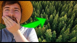 Mr Beasts plants 20'000'000 TREES - LWIAY #0078