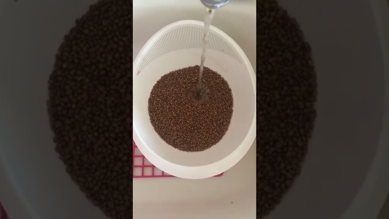какие крупы можно давать большим