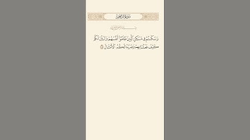 SURAH IBRAHIM AYAT 45|سورة ٤٥|إبراهيم آيت BY QARI MUHAMMAD IQBAL BIN AHMAD #quraan #qurantilawat