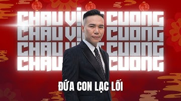 Đứa Con Lạc Lối - Châu Việt Cường hát live tại Hải Phòng