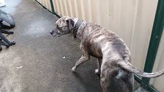 A Beautiful Phone Call Changed My Mood 100 