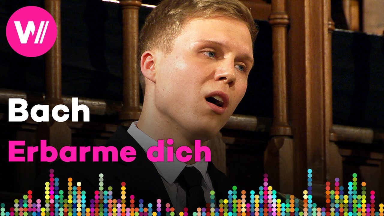 Bach - St. Matthew Passion: Erbarme dich, mein Gott (BWV 244) | Stefan Kahle