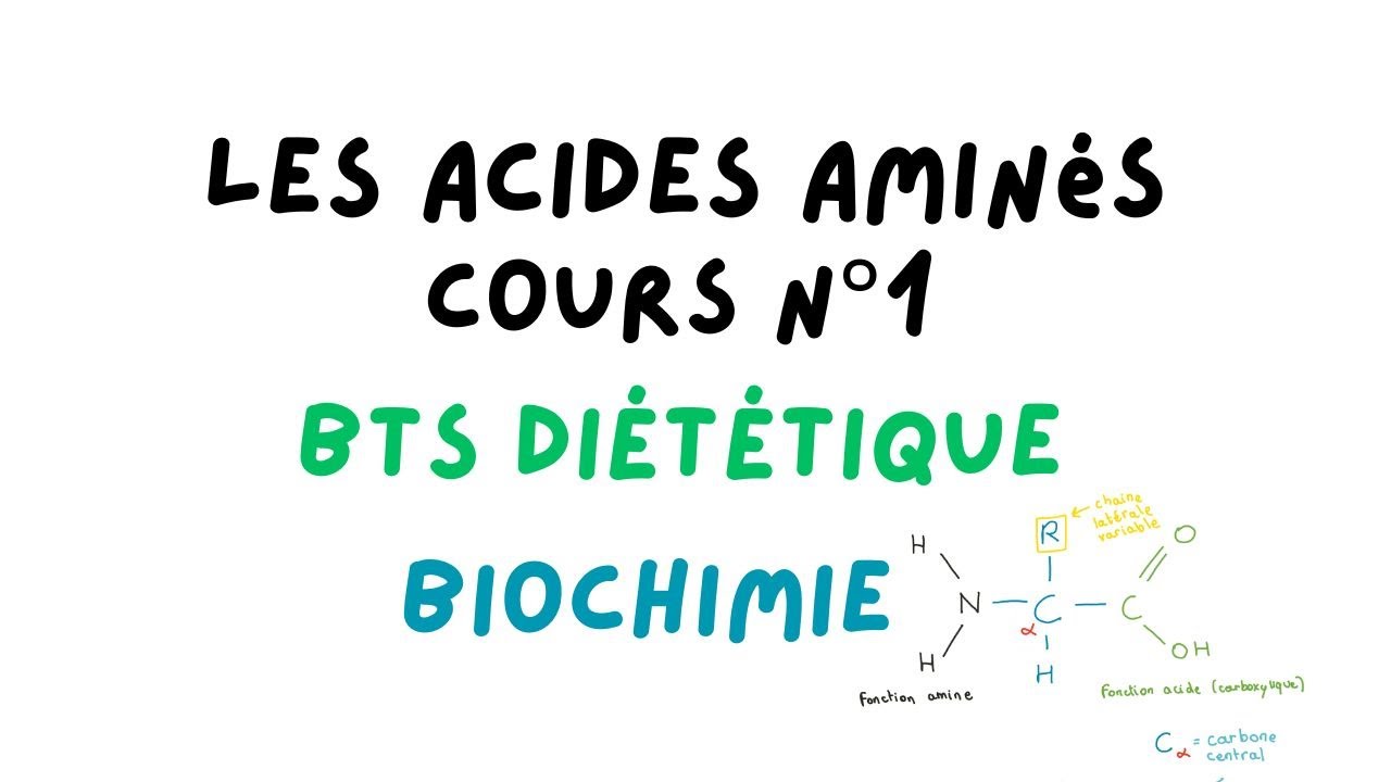 L'ESSENTIEL SUR LES ACIDES AMINÉS pour le BTS DIETETIQUE (cours de ...