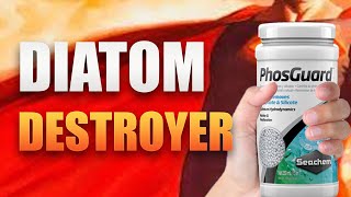 Diatom Destroyer? My Experience with Seachem Phosguard