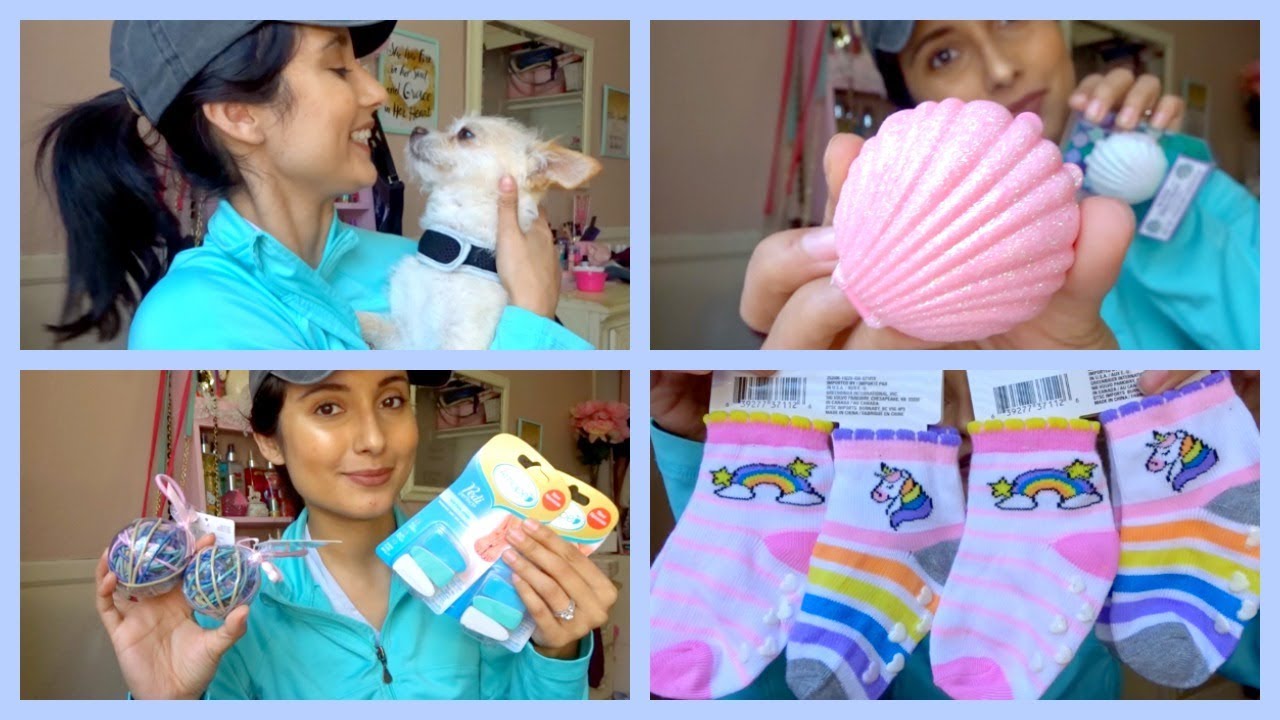 MEET CHARLIE AND NEW DOLLAR TREE HAUL!