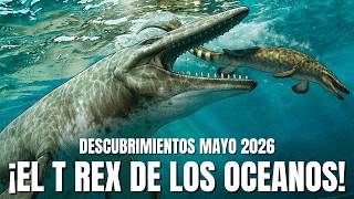 DESCUBREN UN NUEVO T. REX... ¡PERO VIVÍA EN EL MAR! | Descubrimientos Mayo 2026