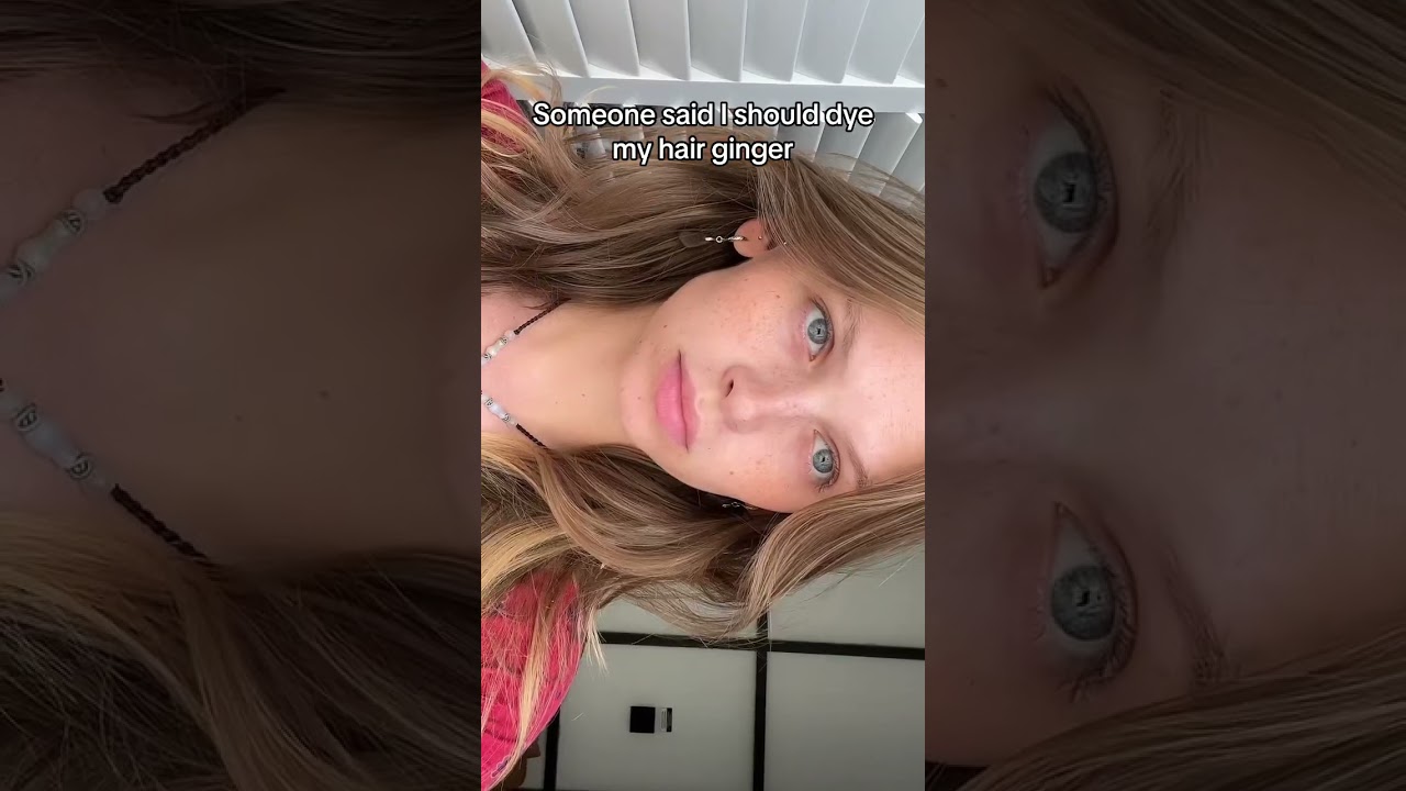 The Lily Bloom you could’ve had 