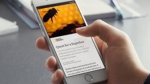 Facebook Launches Instant Articles