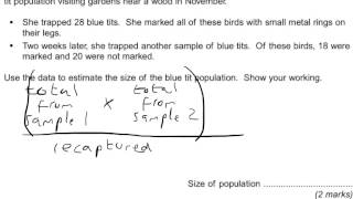 Biol 4 Jan2010 - Mark-release-recapture
