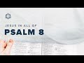 Psalm 8 | What is Mankind that You Are Mindful of Him? | Bible Study