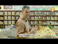 《十大云药·健康官渡》| Ten most famous traditional herbal medicines in Yunnan