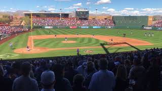 7th Inning Stretch at Cubs Spring Training