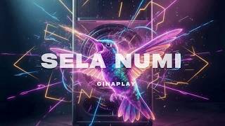 Sela Numi – Cinematic Background Music for Videos | CINAPLAY
