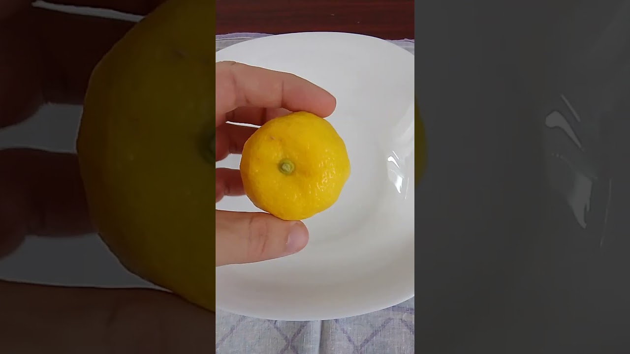 Дегустирую морозостойкий цитрус 