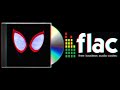 Sunflower Post Malone Spider Man Into The Spider Verse 24BIT FLAC HI RES AUDIO Download 