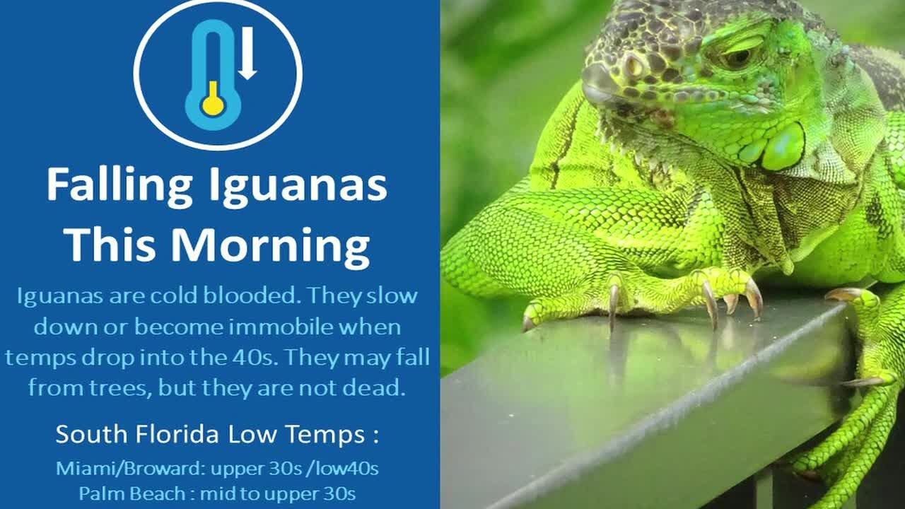 This Day in History for Wednesday, January 21