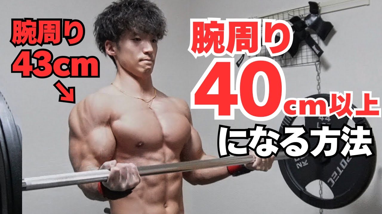 【腕トレ】腕周りを40cm以上にする5つの方法をご紹介‼︎