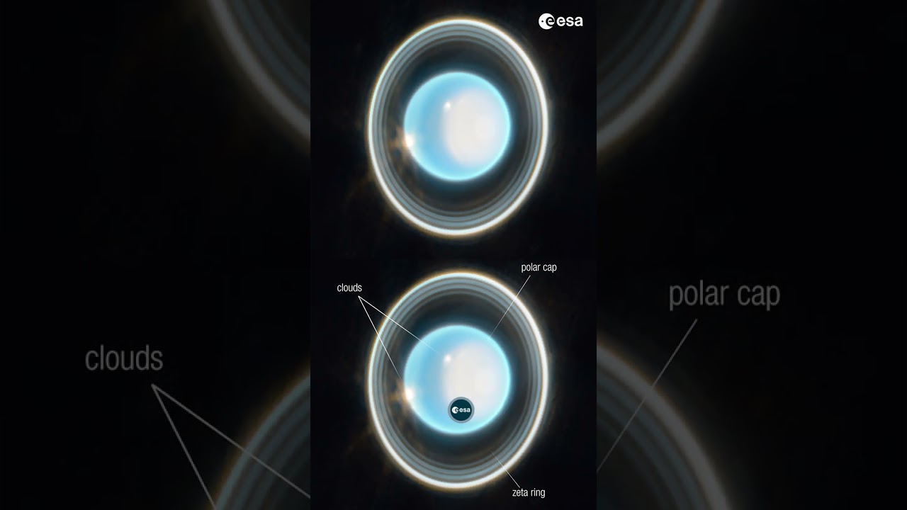 Webb shares new image of Uranus 🔭 