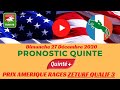 L'OEIL DES PROS - PRIX D'AMERIQUE RACES ZEturf QUALIF#6 ...