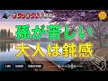 【テレフォン人生相談】マドモアゼル愛が見抜く…孫の心を置き去りにした大人たち