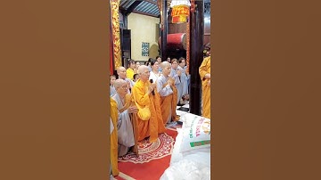 Lễ cúng dường Trường Hạ chùa Hội Khánh #shorts