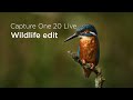 Capture One 20 | Quick Live : Wildlife edit