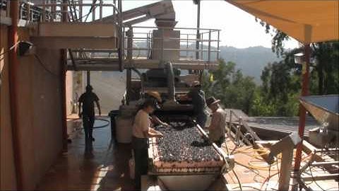 #Harvest2012: The Sorting Table/MonteBello